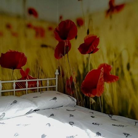 Vinkenhof 6-8 Personen Villa Baarle-Nassau Kültér fotó